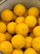 Load image into Gallery viewer, Crabapples (Crab & Pineapple)Pop-ups