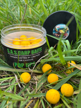 Load image into Gallery viewer, Crabapples (Crab &amp; Pineapple)Pop-ups

